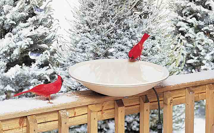 best-heated-bird-bath