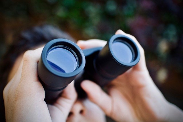 best binoculars for birding review
