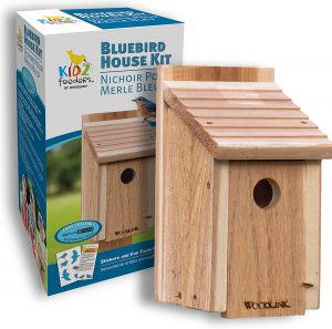 bird house kits for kids