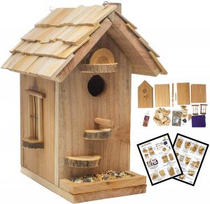cheap bird house kits