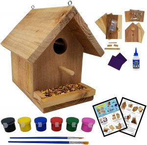 where to buy bird house kits