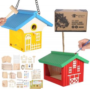 wooden bird house kits
