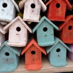 bird house kits