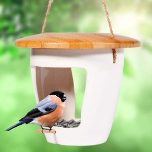 modern ceramic bird feeder