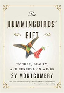 hummingbird gift ideas