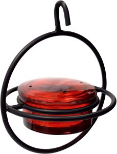 Monarch Abode Red Glass Hummingbird Feeder With Perch