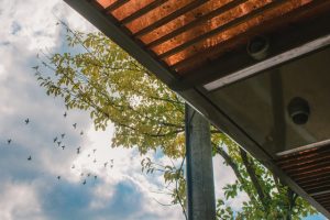 how to keep birds off porch